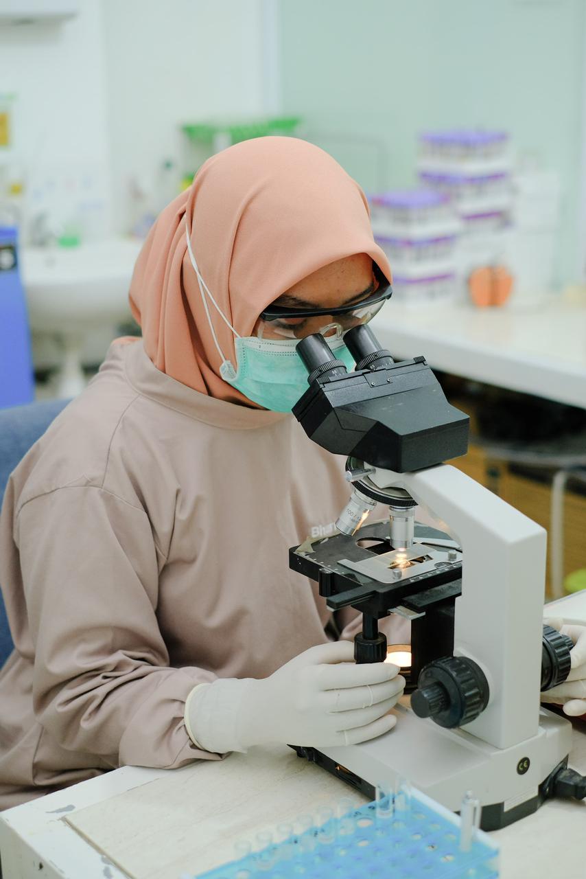 Checkup Darah